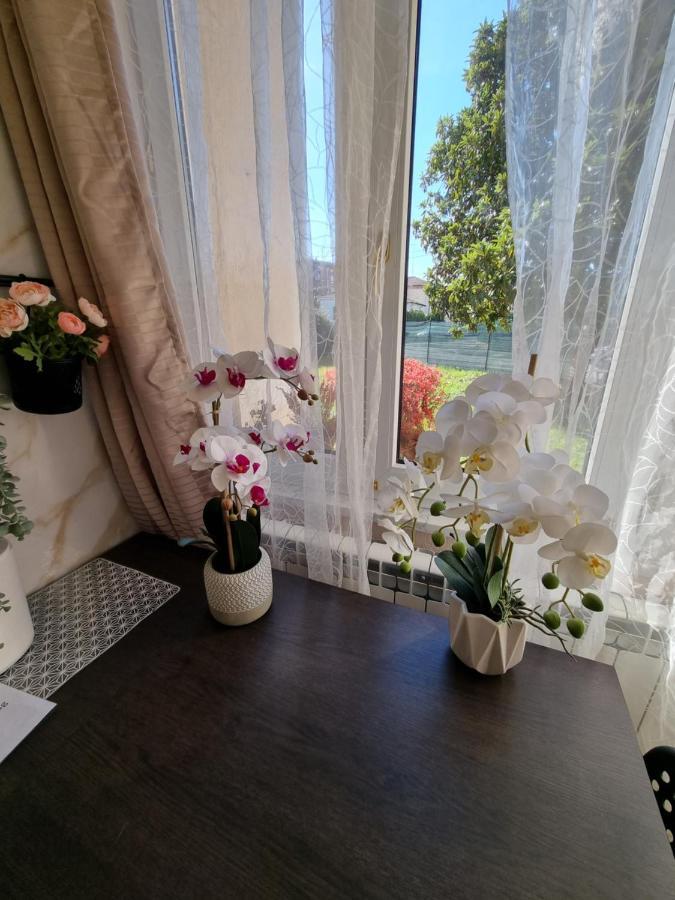 Alloggio Silva ゴリツィア エクステリア 写真